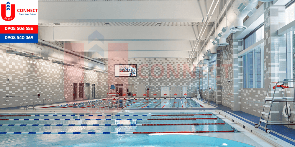 Đại học Connecticut (UConn), bang Connecticut, Mỹ